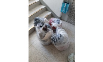 갤러리